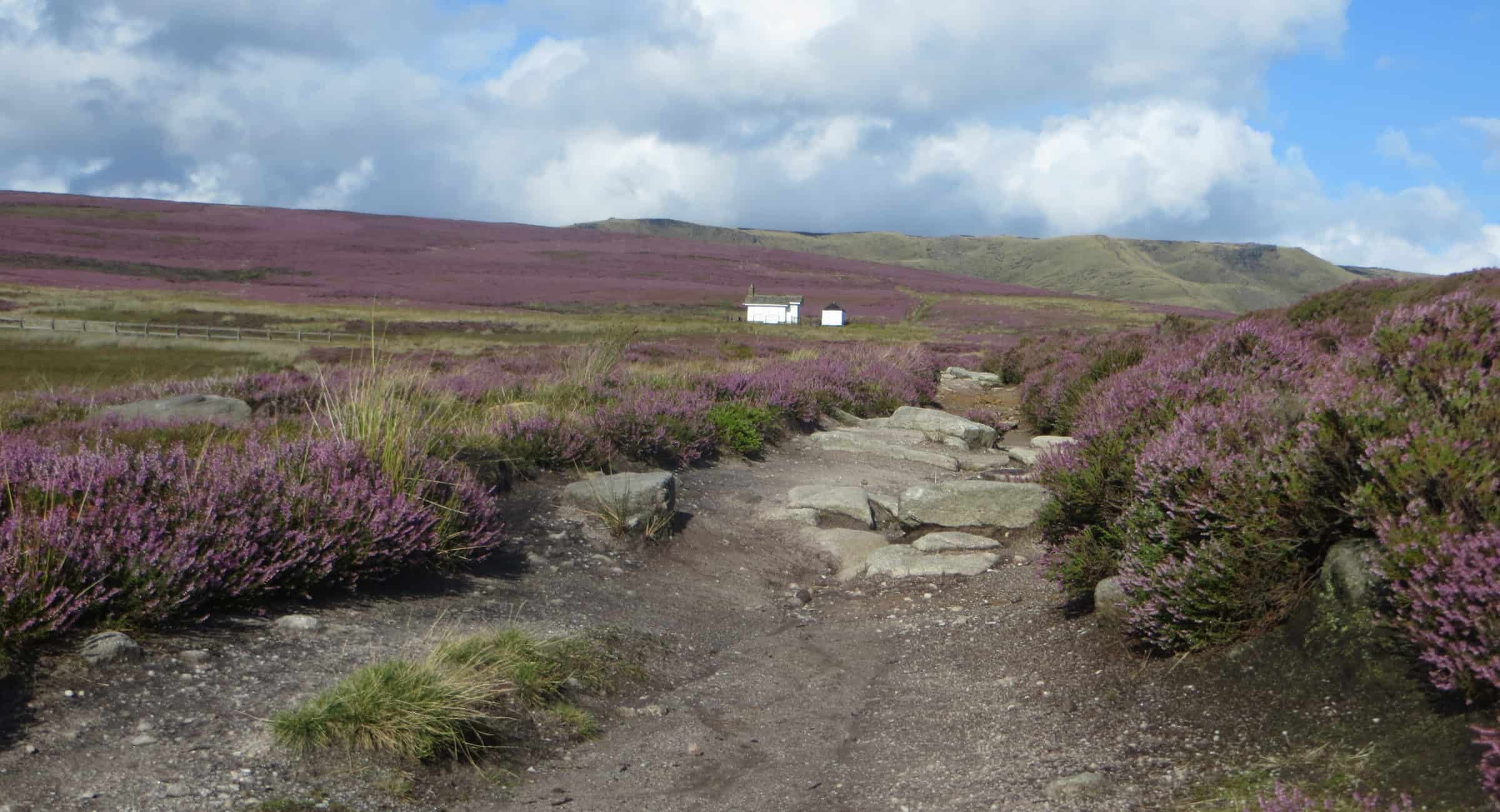 Kinder Heather 2014