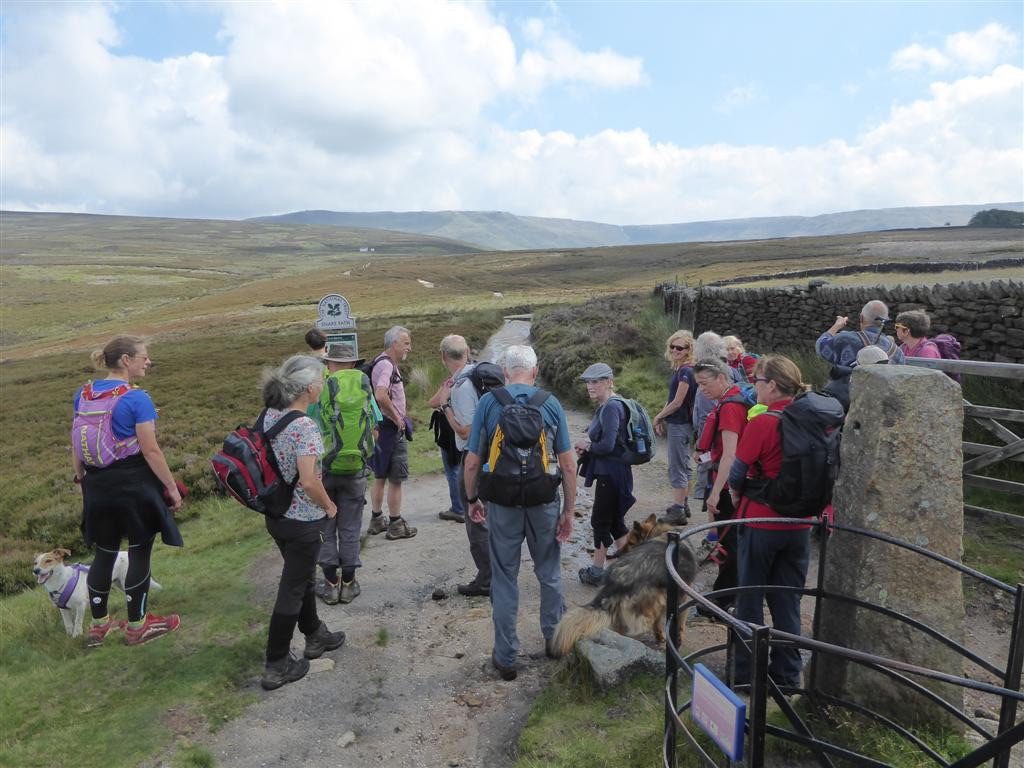 Trespass Walk with the NT, 29/07/19 - Middle Moor.